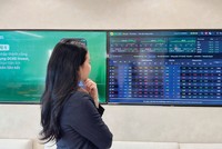 Nhóm dầu khí, vận tải và cao su tích cực hơn mặt bằng chung khi VN-Index tuần qua giảm 2,66%