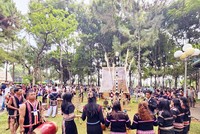 Chương trình Festival cồng chiêng kết hợp Tuần lễ Hoa Dã quỳ – Núi lửa Chư Đang Ya năm 2026 tại Gia Lai sẽ diễn ra từ ngày 30/10 đến ngày 8/11/2026. 