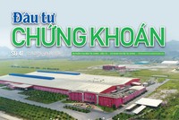 Báo Đầu tư Chứng khoán số 41