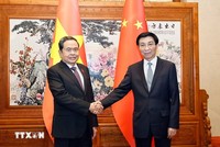 Chủ tịch Quốc hội Trần Thanh Mẫn hội kiến Chủ tịch Chính hiệp toàn quốc Trung Quốc Vương Hộ Ninh. (Ảnh: Doãn Tấn/TTXVN)