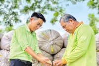 Doanh nghiệp lựa chọn cắt bớt một số tài sản để tập trung vốn vào lĩnh vực cốt lõi. Trong ảnh: Thu hoạch lúa tại vùng nguyên liệu của PAN. Ảnh: PAN