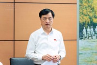 Trưởng Ban Tổ chức Trung ương Nguyễn Duy Ngọc phát biểu tại tổ - Ảnh: QH.