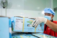 Xuất khẩu nông sản Việt, từ cà phê, rau quả sang EU ghi nhận tốc độ tăng trưởng cao. 