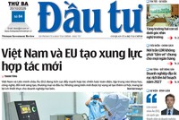 Báo Đầu tư số 84