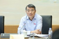 Thủ tướng Lê Minh Hưng phát biểu tại tổ - Ảnh: Quang Phúc. 