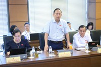 Đại biểu Nguyễn Đình Xuân phát biểu tại tổ. 