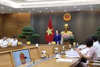 Phó Thủ tướng Phạm Thị Thanh Trà chủ trì Phiên họp lần thứ nhất Ban Công tác liên ngành đối ngoại và hội nhập quốc tế về văn hóa, xã hội, giáo dục - đào tạo - Ảnh: chinhphu.vn