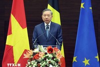 Tổng Bí thư, Chủ tịch nước Tô Lâm phát biểu chính sách tại Viện Quan hệ quốc tế Hoàng gia Egmont. (Ảnh: Thống Nhất/TTXVN)