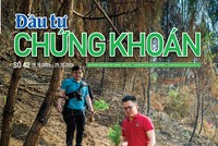 Báo Đầu tư Chứng khoán số 42