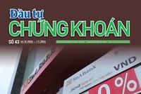 Báo Đầu tư Chứng khoán số 43