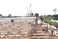 Đắp nền tuyến cao tốc Châu Đốc - Cần Thơ - Sóc Trăng
