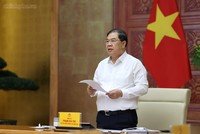 Phó Thủ tướng Thường trực giao Bộ Công Thương khẩn trương hoàn thiện hồ sơ quy hoạch để trình Thủ tướng Chính phủ xem xét, phê duyệt - Ảnh: chinhphu.vn