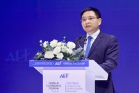 Phó Thủ tướng Nguyễn Văn Thắng phát biểu. Ảnh: Lê Toàn.