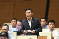 Đại biểu Lê Hoàng Anh tham gia thảo luận. Ảnh: Như Ý .