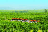 Hàng chục triệu cổ phiếu giá sàn đã được hấp thụ hết, điều tích cực gì đang xảy ra ở HNG?