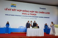 Thadi sẽ nắm 35% vốn Thủy sản Hùng Vương (HVG), rót 65% vốn trong liên doanh heo giống