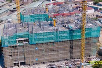 Tiến độ dự án Opal Boulevard ngày 13/2/2020 (nguồn Đất Xanh)