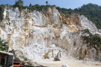 Kiểm toán từ chối cho ý kiến, DIC bị hủy niêm yết bắt buộc từ 10/8