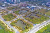 Đấu giá lại những lô đất bị bỏ cọc tại Thủ Thiêm, tín hiệu tích cực cho thị trường bất động sản