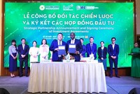 IFC hoàn tất giải ngân đợt đầu vào BAF, giá trị 600 tỷ đồng