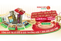 9 tháng, Chứng khoán Rồng Việt (VDS) lãi 320 tỷ đồng, vượt 18% kế hoạch năm