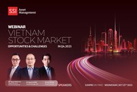 Triển vọng nào cho chứng khoán Việt Nam trong nhịp điều chỉnh sâu?