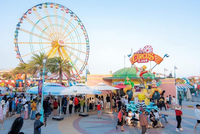 NovaWorld Phan Thiet của Novaland với nhiều tiện ích đang thu hút đông đảo du khách tham quan, trải nghiệm 