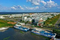 CIC Group (CKG) đề xuất HOSE đưa cổ phiếu ra khỏi diện cảnh báo và kiểm soát