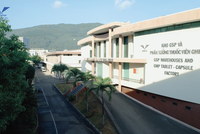 Bứt tốc tăng 28% quý cuối năm 2024, “sóng M&A” có lặp lại với cổ phiếu DBD