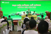 Taxi Mai Linh muốn tăng vốn thêm 1.453 tỷ đồng, sẽ đăng ký đại chúng và lên sàn chứng khoán