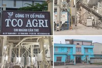 TCO Holding (TCO) muốn rót vốn đầu tư thêm dự án khu phức hợp ngàn tỷ tại Đà Nẵng