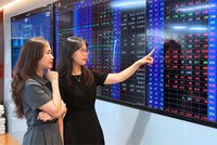 Doanh thu quý II/2026 tăng 46%: Chứng khoán Rồng Việt (VDS) củng cố nội lực cho giai đoạn tăng trưởng mới 