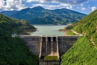 Điện Tây Bắc (NED): Bỏ vốn vào doanh nghiệp lỗ, nhà đầu tư cần thận trọng