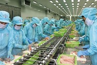 IDI: Phó tổng giám đốc đăng ký mua vào 10 triệu cổ phiếu