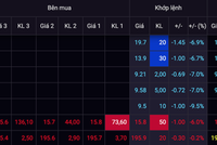 Cần thanh kiểm tra có hay không việc thao túng giá cổ phiếu FLC và các cổ phiếu tăng nóng