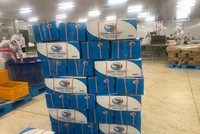 Đầu tư Đa quốc gia (IDI) lên kế hoạch chi 45% cổ tức tiền mặt