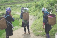 Phụ nữ Việt Nam đạt nhiều tiến bộ trong bảng xếp hạng nữ doanh nhân toàn cầu