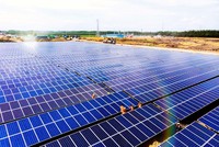 Helios bán gần 3,5 triệu cổ phiếu Tradcodi (TCD) qua hình thức thỏa thuận