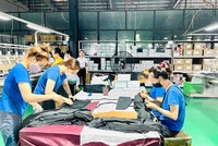 Đầu tư và Thương mại TNG (TNG): Tổng giám đốc đăng ký mua nửa triệu cổ phiếu