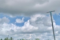 Nông dân thắng lớn mùa Tết cuối năm nhờ NPK Cà Mau