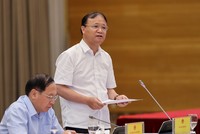 Thứ trưởng Bộ Công Thương Đỗ Thắng Hải trả lời tại buổi họp báo Chính phủ.