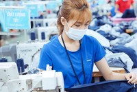 Tháng 7, TNG lấy lại đà tăng trưởng doanh thu 