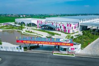 Quý II/2023, May Sông Hồng (MSH) tăng doanh thu, nỗ lực giữ đơn hàng