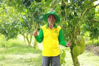 NPK Cà Mau công nghệ polyphosphate chắp cánh nông sản Việt