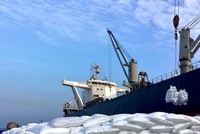 Sản lượng tiêu thụ vượt bậc, PVCFC (DCM) đạt 447 tỷ đồng lợi nhuận trước thuế hợp nhất quý I/2025