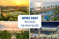 Vượt kế hoạch 2024, Tập đoàn CEO đạt 169 tỷ đồng lợi nhuận sau thuế