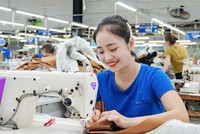 Doanh thu nửa đầu năm vượt 4.000 tỷ đồng, cổ phiếu TNG nối dài chuỗi tăng 9 phiên liên tục