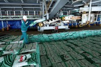 9 tháng, Phân bón Cà Mau (PVCFC - DCM) đạt hơn 1.600 tỷ đồng lợi nhuận trước thuế