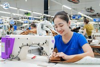 TNG giải trình lợi nhuận quý IV/2025 tăng 50% so với cùng kỳ 