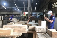 Gỗ Thuận An (GTA): Quý I lãi 4,4 tỷ đồng, chi trả cổ tức tỷ lệ 12%